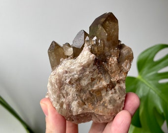 Kundalini Citrine Crystal -Natural from the Congo Large Display