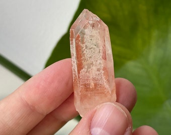 Pink Lemurian Crystal Raw Crystal Scarlet Temple Healing Crystal