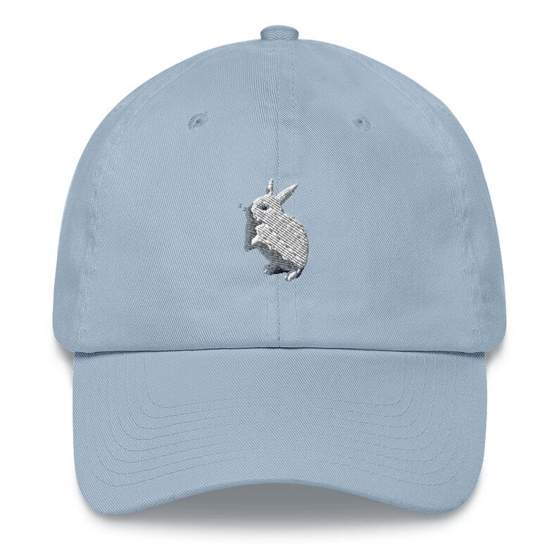 Bunny Hat