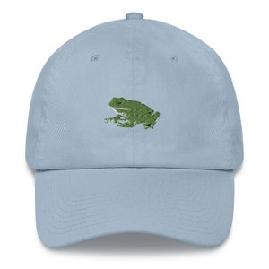 Può includere: Un cappellino da baseball azzurro con un ricamo di una rana verde sul davanti. Il cappellino ha una visiera curva e un cinturino regolabile sul retro. La rana è dettagliata con cuciture strutturate.