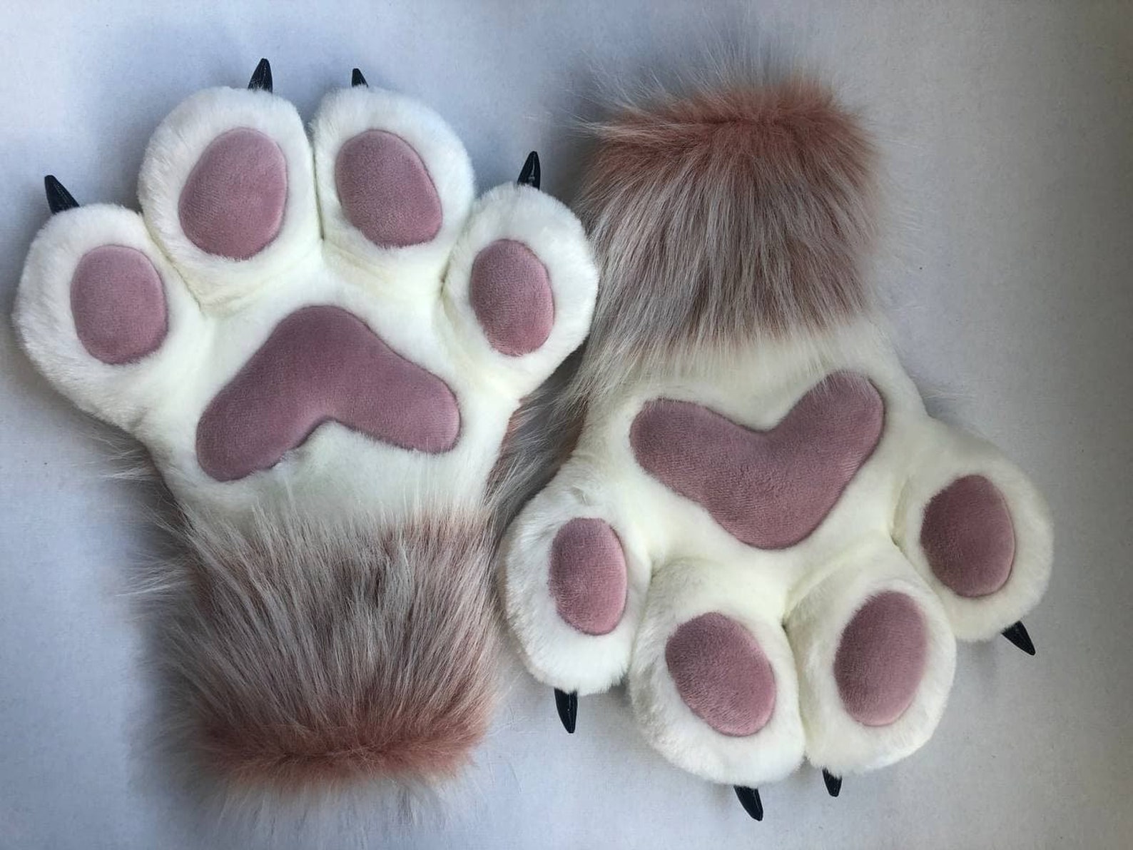 paws for trello encryption paws for trello encryption