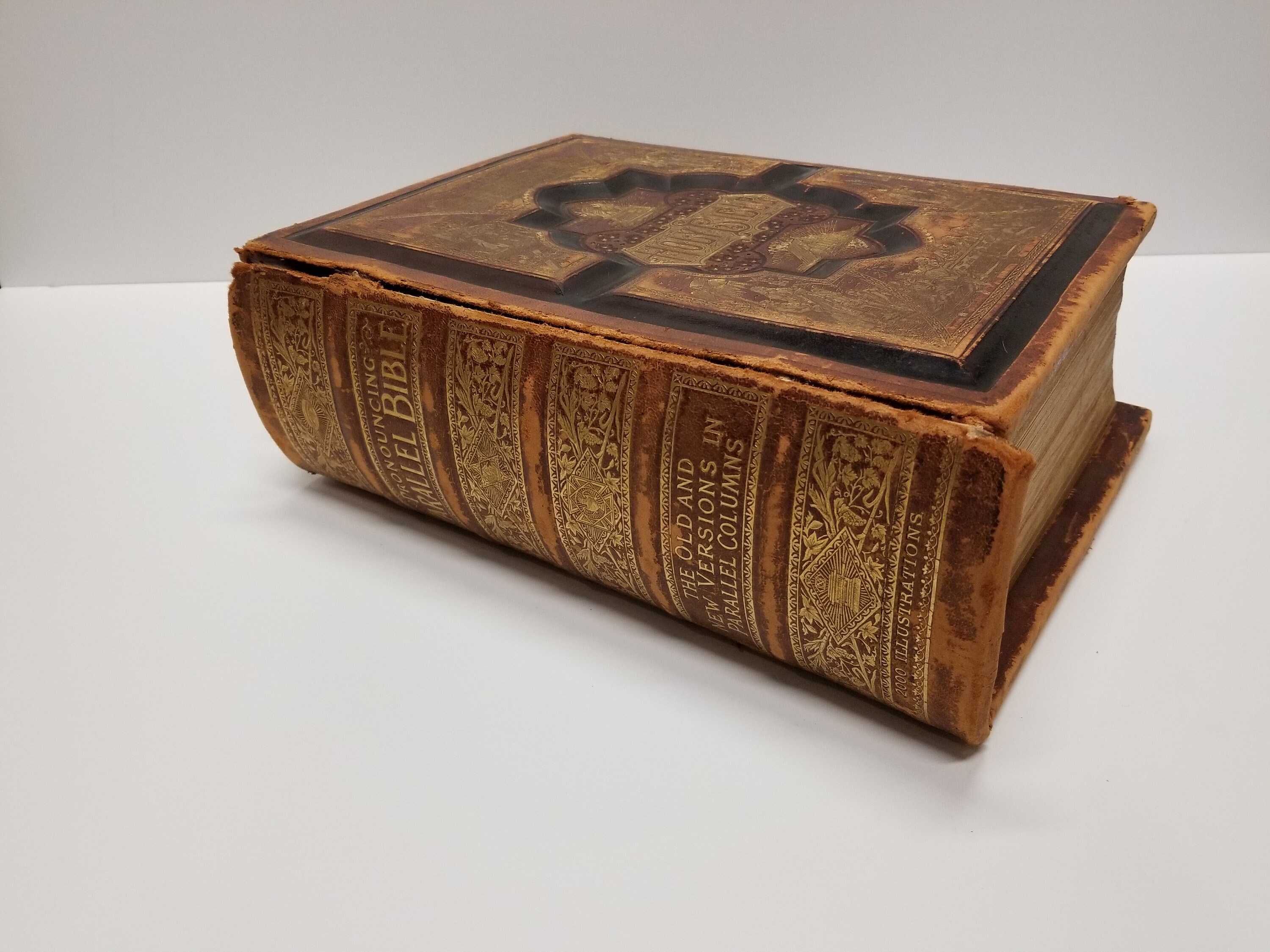1891 Antique Holy Bible — Forest & Found