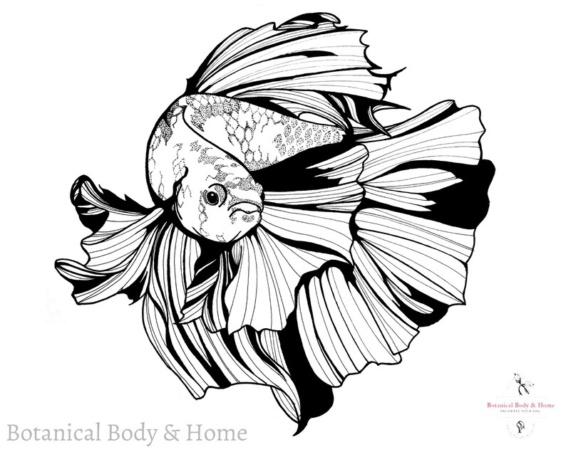 Beta Fish Downloadable Print Beta Fish Flash Art Printable | Etsy