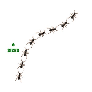 Puede incluir: Una línea de nueve hormigas negras y marrones que se arrastran en diagonal sobre un fondo blanco. El texto "6 SIZES" está en verde en la parte inferior izquierda de la imagen.