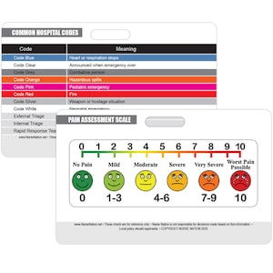Pain Assessment Tool Reference en Common Hospital Code Meanings Horizontal Badge Card
