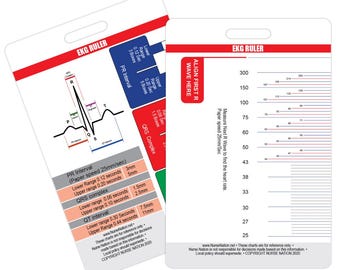 STEMI 12 Strumento Di Riferimento Orizzontale Badge ID Card, EGG - Foto 7
