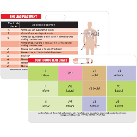 STEMI 12 Lead Reference and 12 Lead EKG ECG Placement Reference Horizontal  Badge Card -  Canada