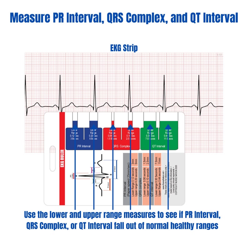 ekg vertical badge 6 card set w bonus cheat sheets etsy
