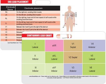 EMT EKG Electrode Placement Reference EKG Ruler Horizontal Badge Card ...