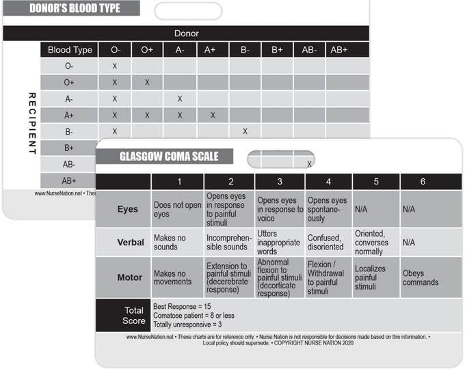 STEMI 12 Lead EKG Reference Badge Card - Electrode Placement Guide For Nurses, EMTs, & Healthcare Pros
