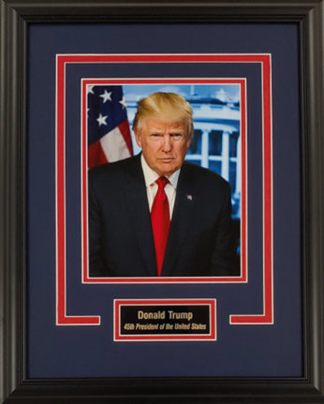 Donald Trump 8x10 Photo Display - Etsy