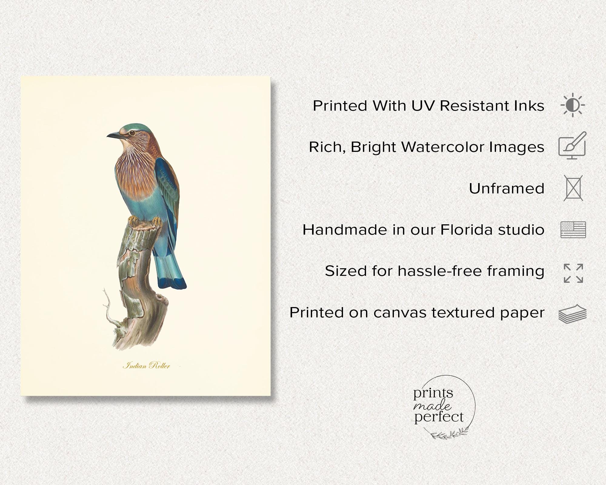 Vintage Bird Prints Wall Art Set of 6 – Audubon Botanical Bird
