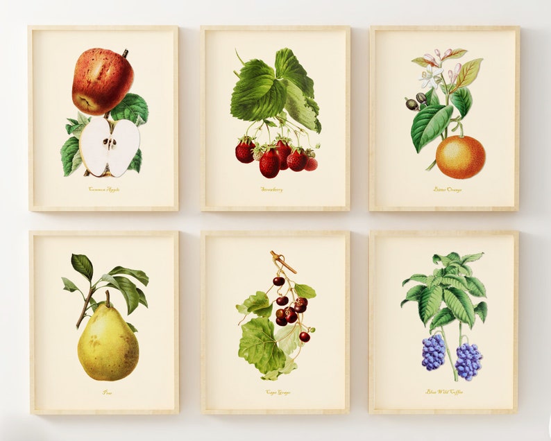 Vintage Fruit Art Prints set of 6 Kitchen Wall Decor - Etsy