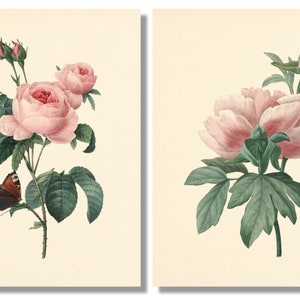 Vintage Pink Roses Wall Art Prints - Set of 6 - Botanical Prints ...