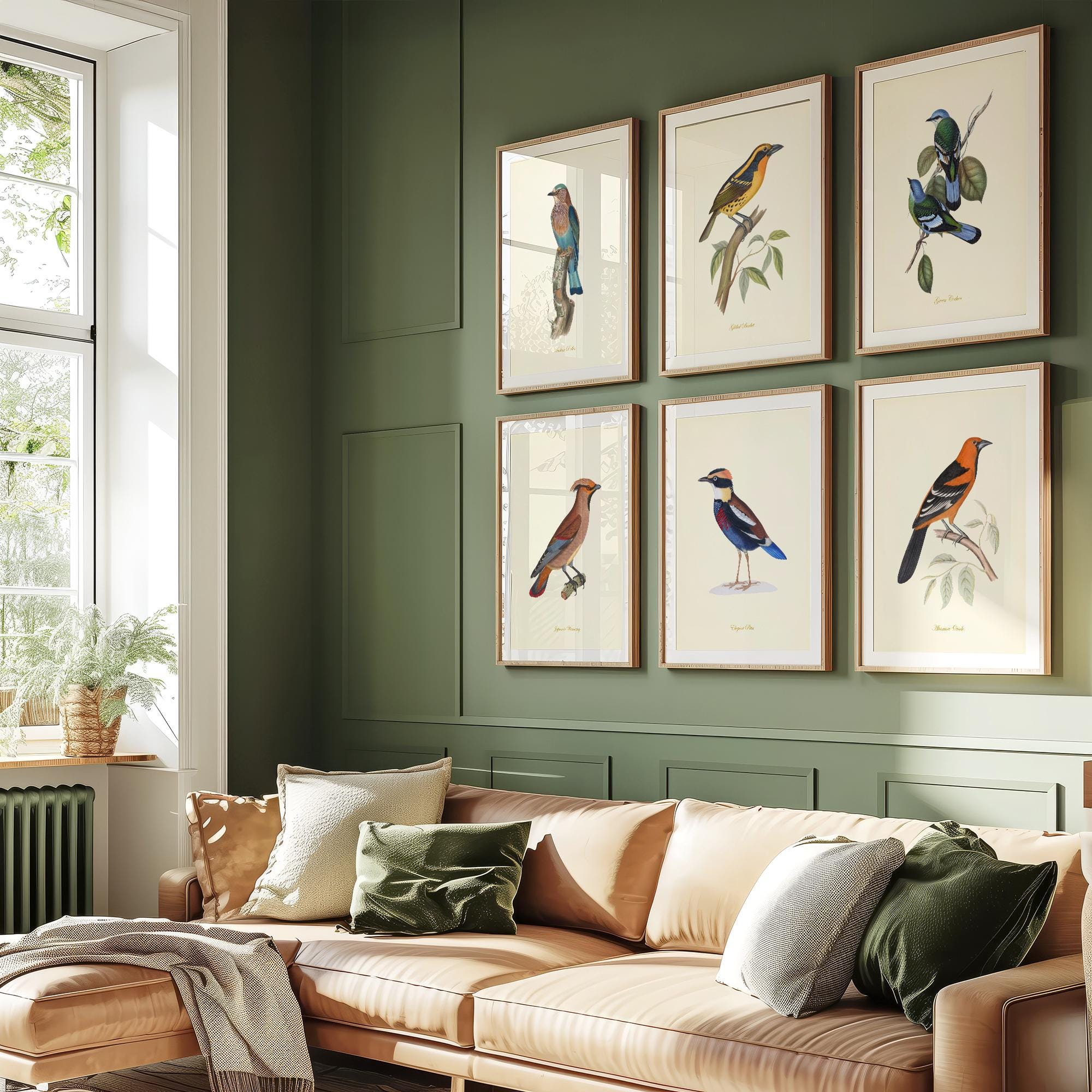 アート・デザイン・音楽 CLASSIC NATURAL HISTORY PRINTS BIRDS Amazon.com: Vintage Song Bird Prints by Ink Inc. | Nature