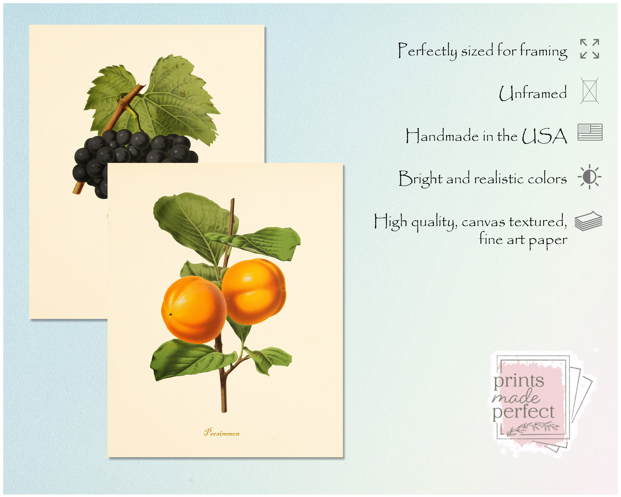 kitchen gallery wall art set of 6, vintage fruit... Vintage Fruit Art Prints - Set of 6 - Kitchen Wall Art Decor ...