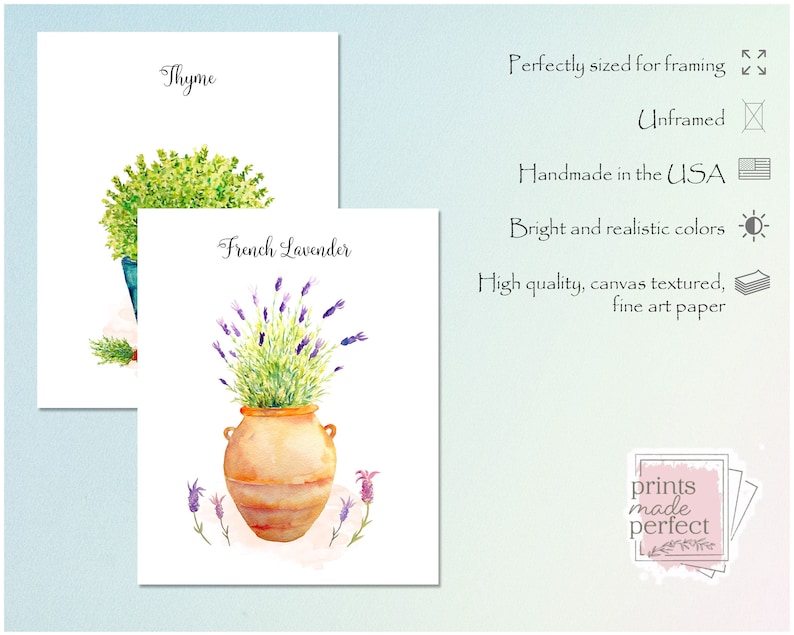 Herb Art Prints - Set of 6 - Kitchen Wall Art- Herb Paintings - Leaf ...