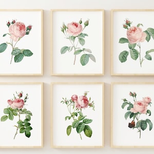 Vintage Pink Roses Wall Art Prints - Botanical Prints - Floral Wall Art Decor - Vintage Wall Art - Pink Flowers Pictures - Unframed