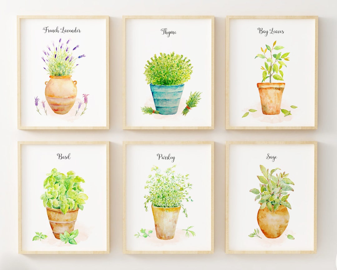 Herb Art Prints - Set of 6 - Kitchen Wall Art- Herb Paintings - Leaf ...