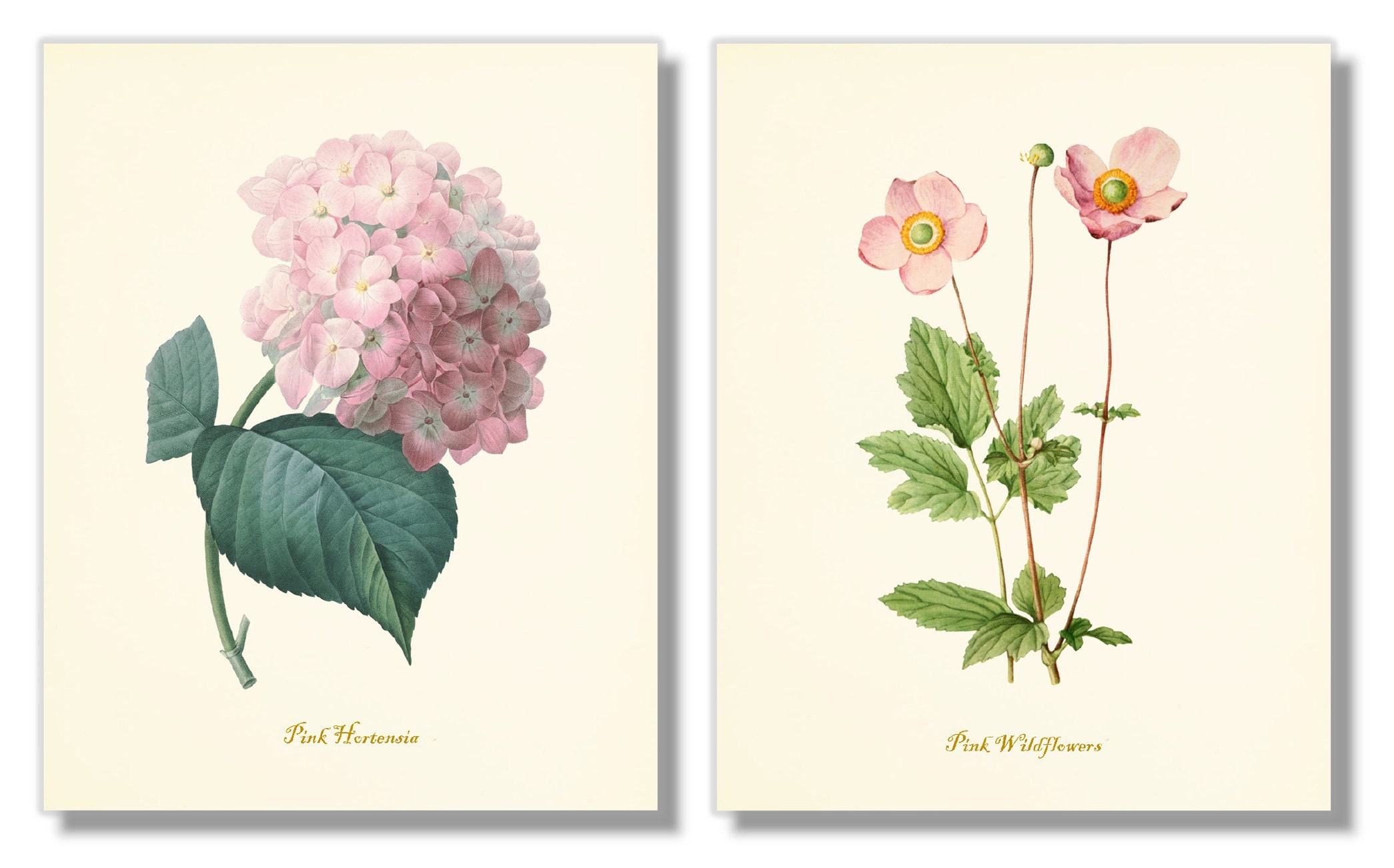 Flower Art Prints Pink Floral Decor Botanical Wall Art Etsy