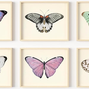 Butterfly Wall Art - Vintage Butterflies Decor - Butterfly Art Prints - Botanical Wall Art - Watercolor Pictures - (Set of 6) - Unframed