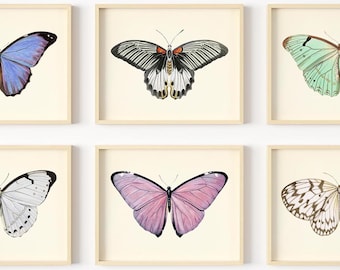 Butterfly Wall Art - Vintage Butterflies Decor - Butterfly Art Prints - Botanical Wall Art - Watercolor Pictures - (Set of 6) - Unframed