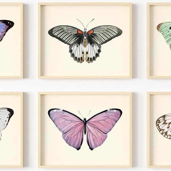 Butterfly Wall Art - Vintage Butterflies Decor - Butterfly Art Prints - Botanical Wall Art - Watercolor Pictures - (Set of 6) - Unframed