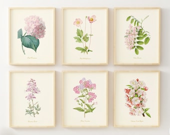 Pink Flower Wall Art Set of 6 – Vintage Botanical Prints – Floral Wall Decor for Bedroom, Bathroom, or Nursery – Unframed Botanical Artwork