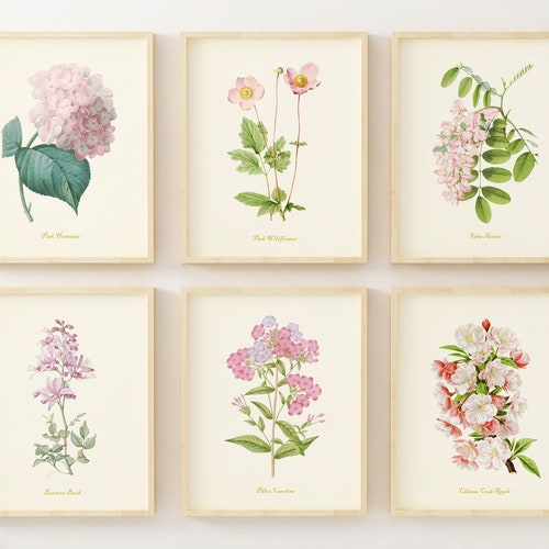 Flower Art Prints Pink Floral Decor Botanical Wall Art Etsy