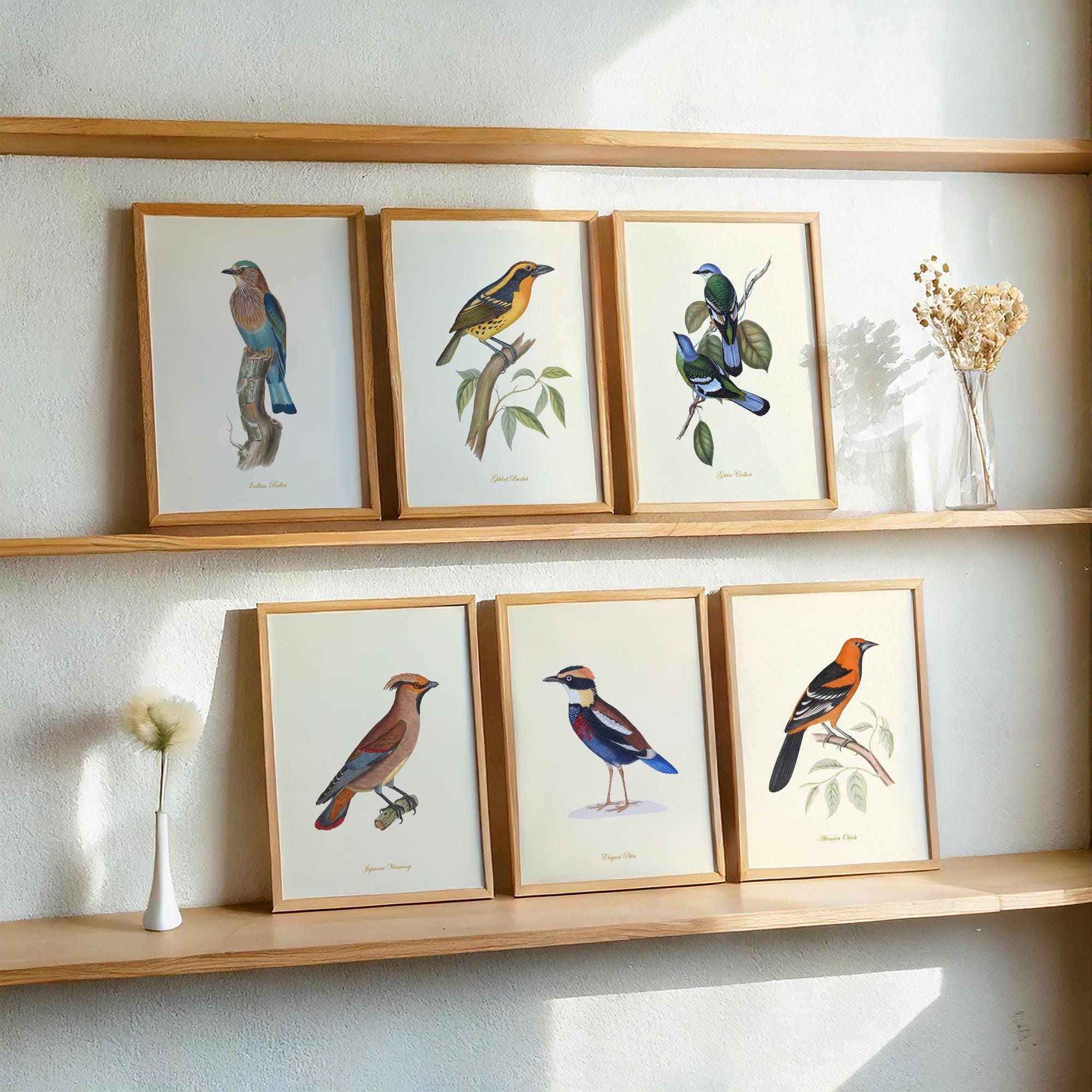 Vintage Bird Prints Wall Art Set of 6 – Audubon Botanical Bird