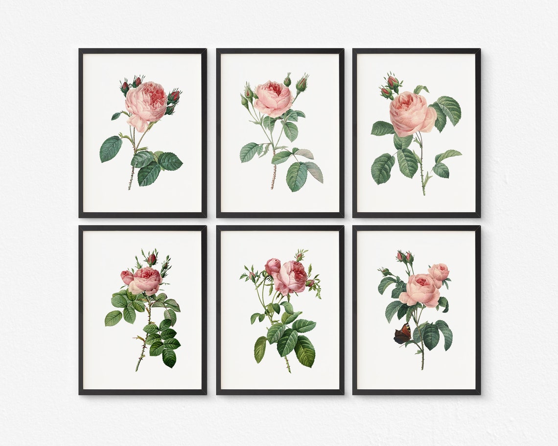 Vintage Pink Roses Wall Art Prints Botanical Prints Floral | Etsy