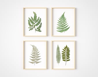 Fern Wall Art - Botanical Prints - Vintage Wall Decor - Minimalist Art Prints - Set of 4 - Cottage Core Pictures -  Unframed