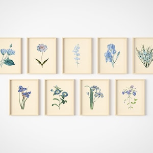Blue Flower Wall Art - Collage Set of 9 - Vintage Floral Wall Decor - Botanical Prints - Unframed
