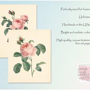 Vintage Pink Roses Wall Art Prints - Set of 6 - Botanical Prints ...