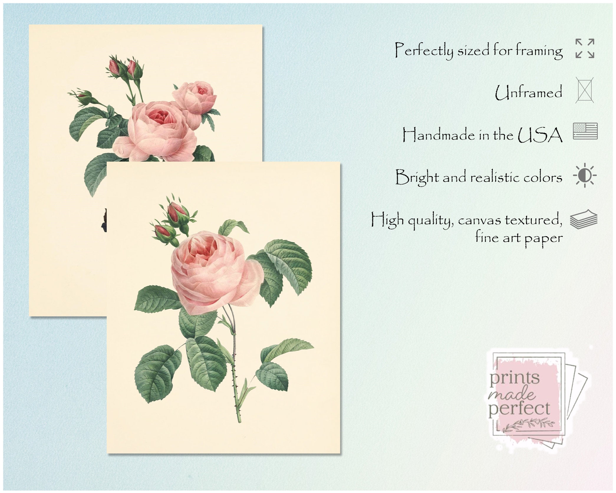Vintage Pink Roses Wall Art Prints - Set of 6 - Botanical Prints