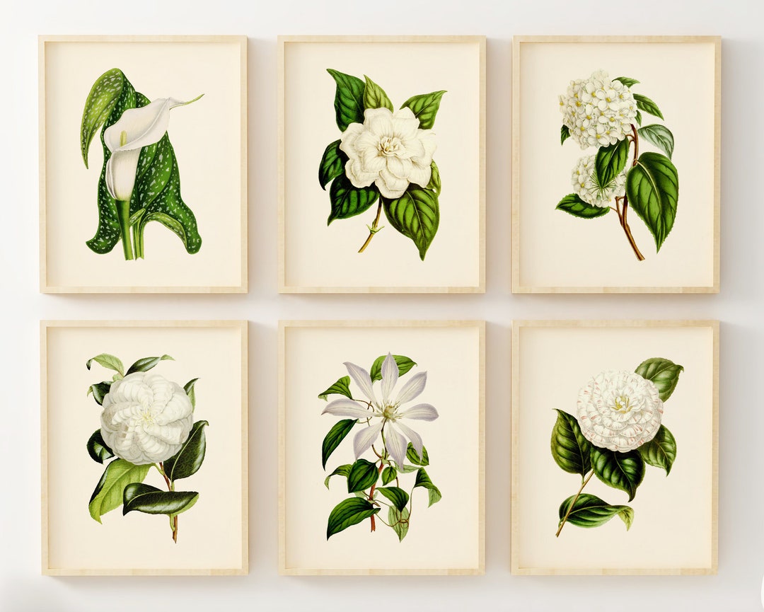 Vintage White Flower Wall Art Set of 6 – Botanical Prints – Neutral ...