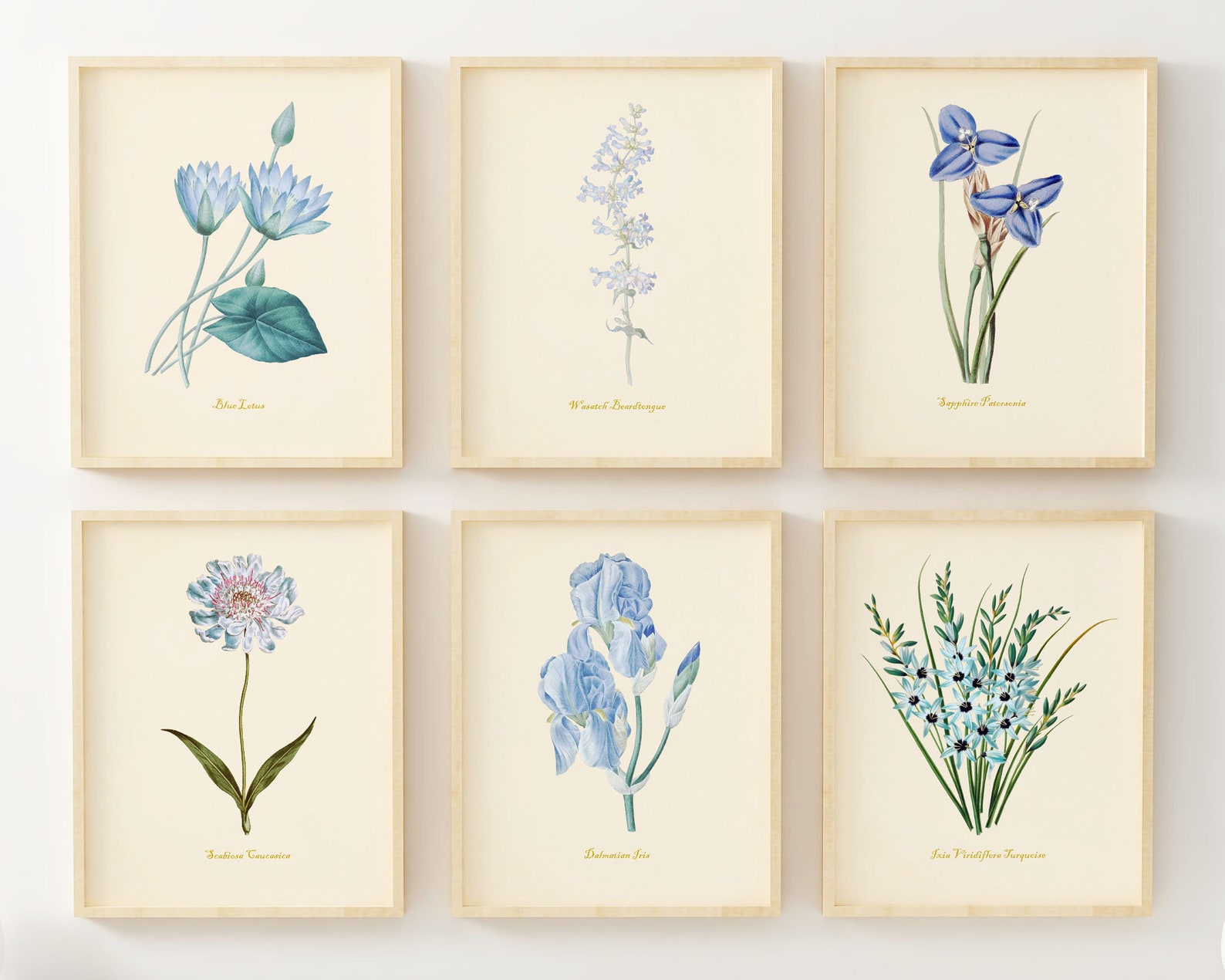 Blue Flower Wall Art - Vintage Floral Wall Decor - Botanical Prints ...