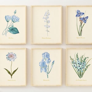 Blue Flower Wall Art - Vintage Floral Wall Decor - Botanical Prints - Set of 6 - Unframed