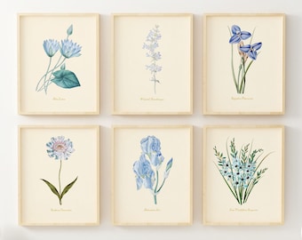Blue Flower Wall Art - Vintage Floral Wall Decor - Botanical Prints - Set of 6 - Unframed