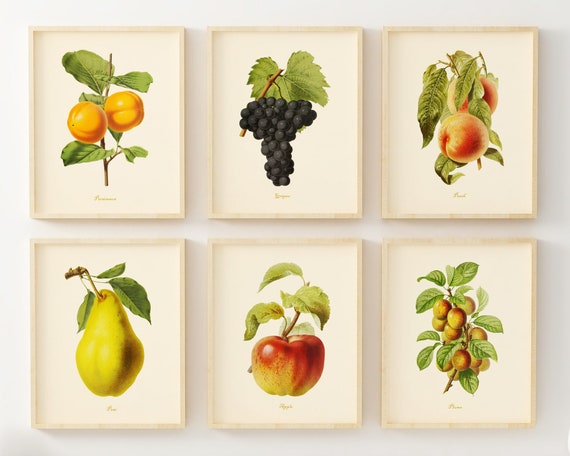 kitchen gallery wall art set of 6, vintage fruit... Vintage Fruit Art Prints Set of 6 Kitchen Wall Art Decor | Etsy