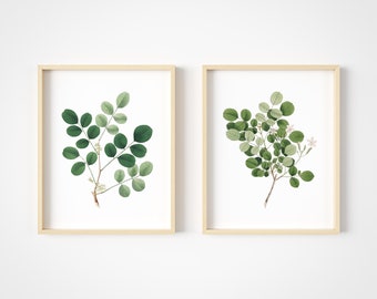 Eucalyptus Wall Art Prints - Set of 2 - Greenery Wall Art - Botanical Wall Art - Eucalyptus Wall Decor