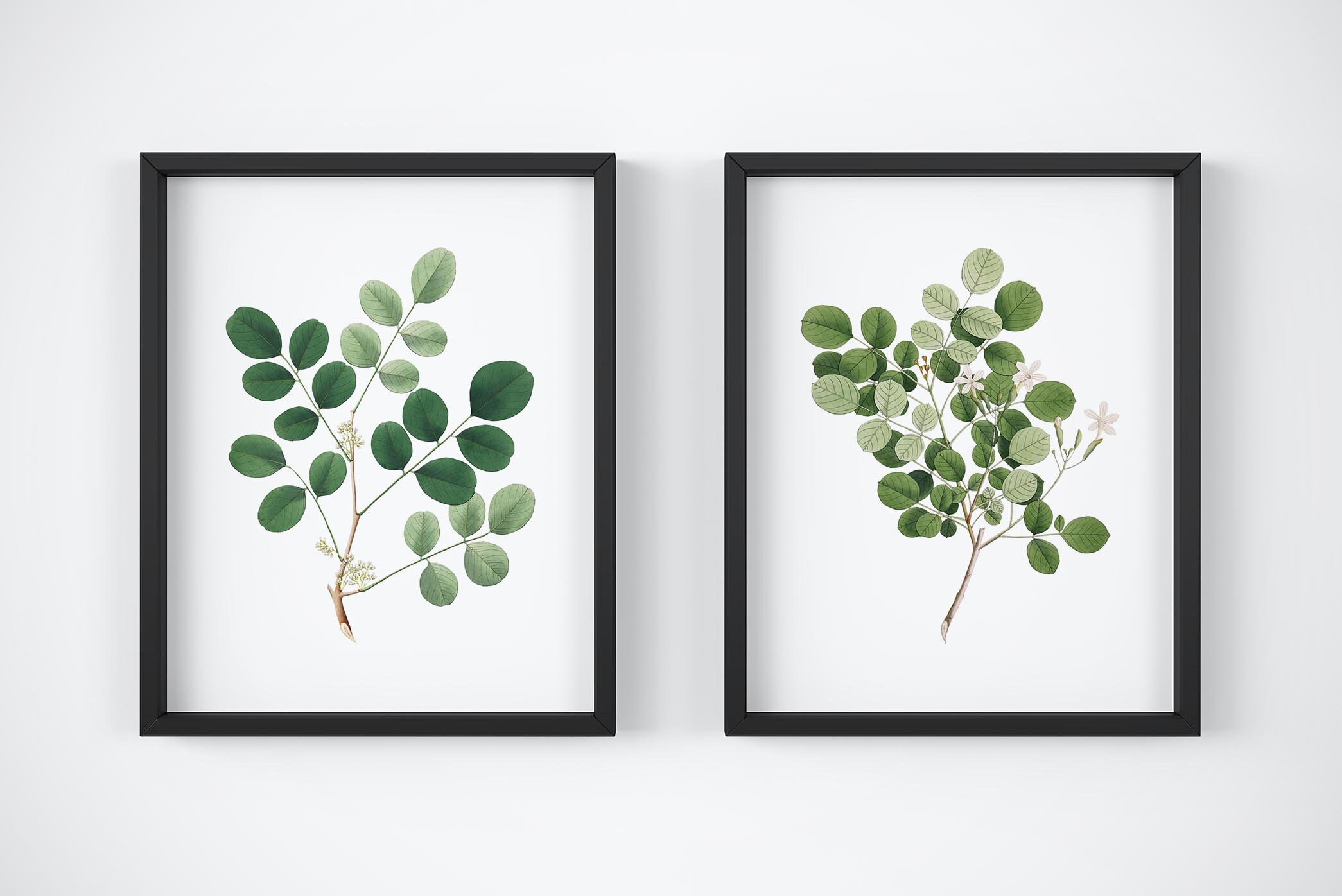 Eucalyptus Wall Art Prints Set of 2 Greenery Wall Art Etsy