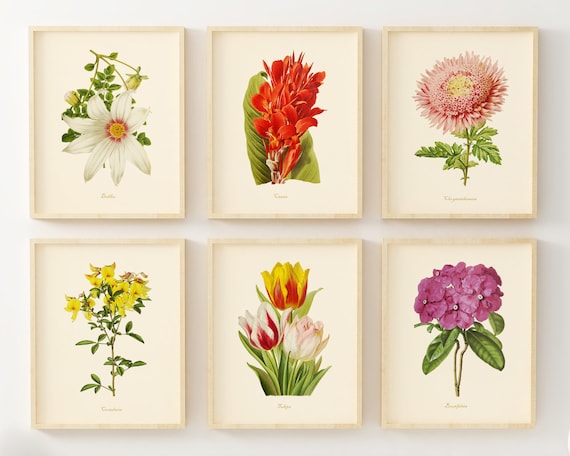 Flower Wall Art Botanical Prints set of 6 Vintage Wall - Etsy