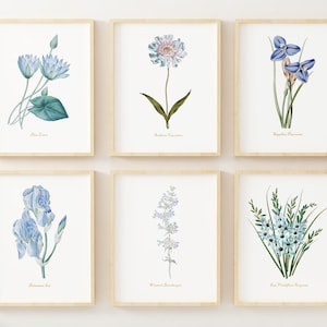 Blue Flower Wall Art - Vintage Floral Wall Decor - Botanical Prints - Set of 6 - Unframed