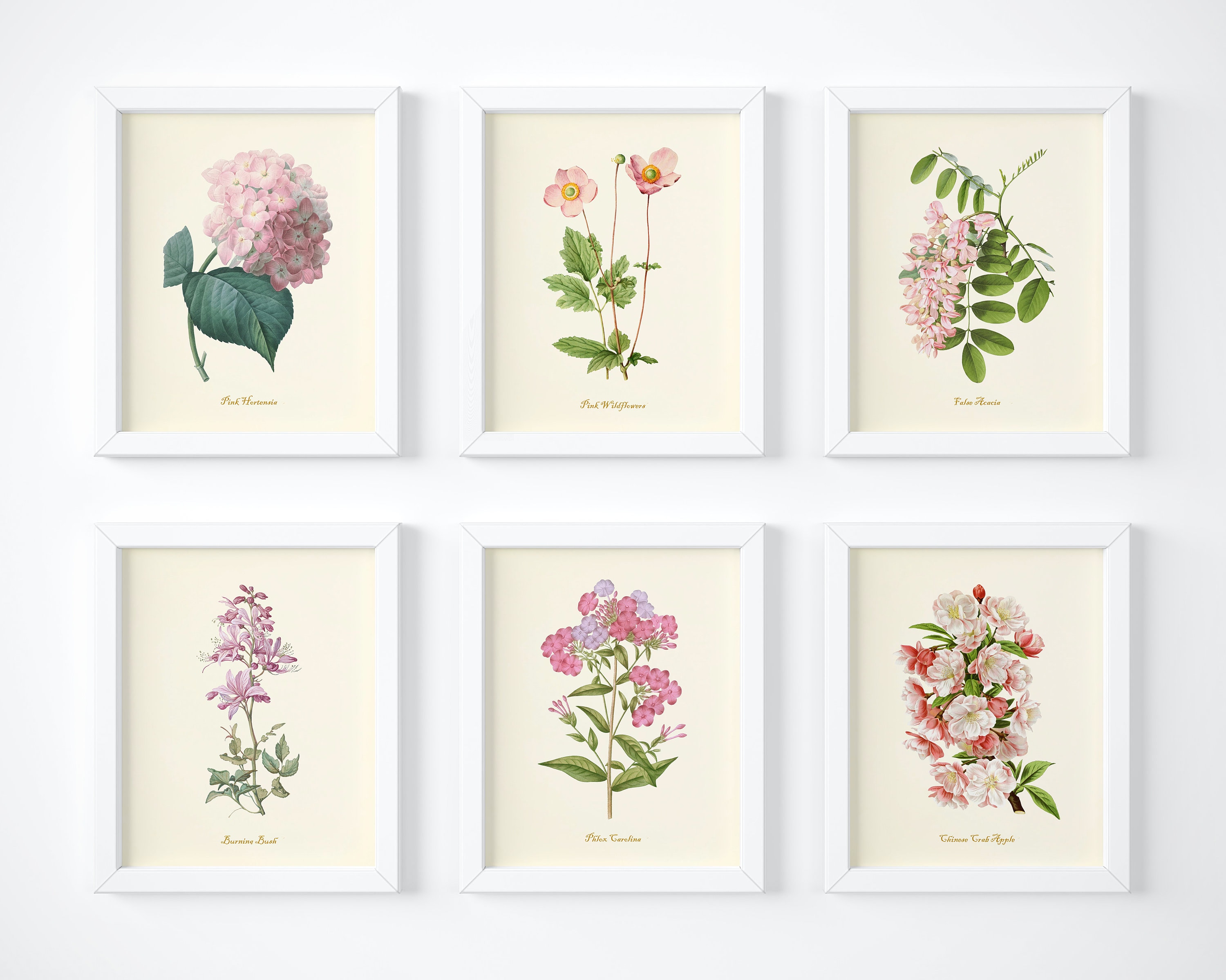 Flower Art Prints Pink Floral Decor Botanical Wall Art Etsy