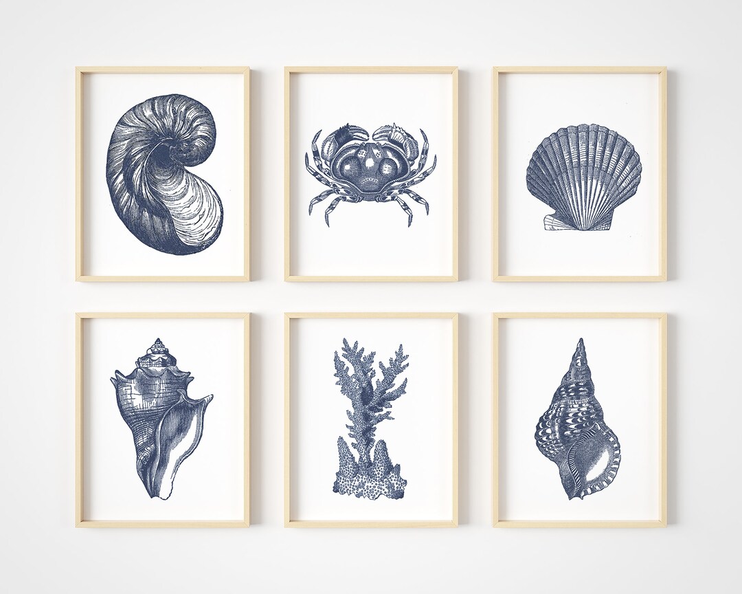 Coastal Decor Beach Bathroom Wall Art Vintage Ocean Seashells Art
