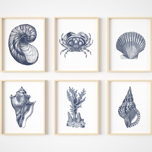 May include: Set of six blue and white nautical prints featuring illustrations of seashells, coral, and a crab. The prints are framed in a light wood frame.