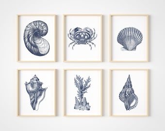 Blue Watercolour Illustration Artists Print A5 Coastal Wildflowers and Shells Art Print A4 or A3 Beach Seashells Poster