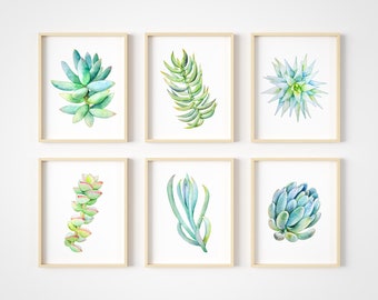 Succulent Wall Art - Boho Wall Art - Cactus Wall Decor - Watercolor Botanical Prints - Desert Plant Pictures - Set of 6 - Unframed