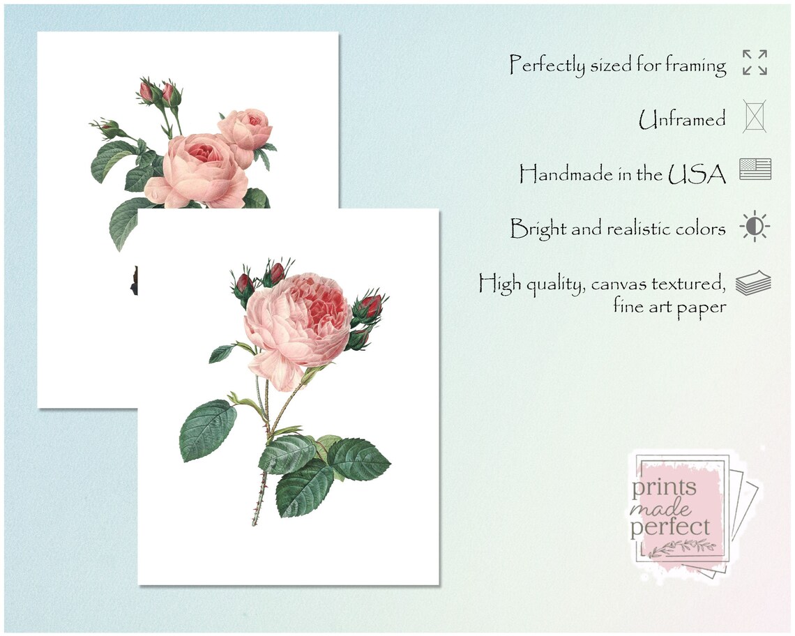 Vintage Pink Roses Wall Art Prints Botanical Prints Floral | Etsy